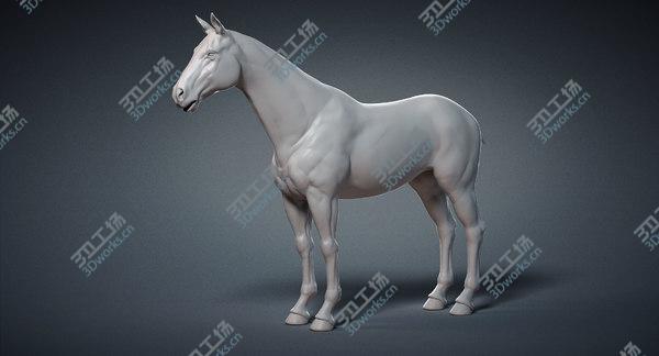 images/goods_img/20210312/Horse Base Mesh 3D model/1.jpg